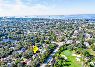 1351 Willow Brk Dr in Palm Harbor, FL - Building Photo - Building Photo