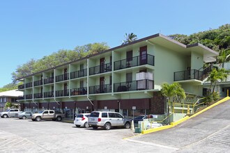 1351 Lower Main St in Wailuku, HI - Building Photo - Building Photo