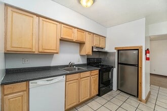 1202 Euclid Ave in Kalamazoo, MI - Building Photo - Building Photo