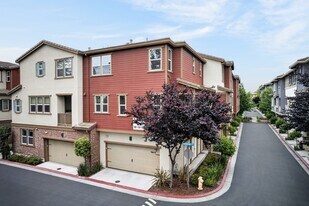 104 Incense Ter in Sunnyvale, CA - Building Photo