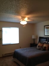 Elburn Meadows in Elburn, IL - Building Photo - Building Photo