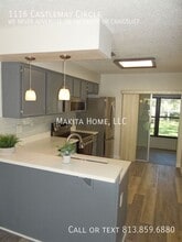 1116 Castlemay Cir in Dunedin, FL - Building Photo - Building Photo