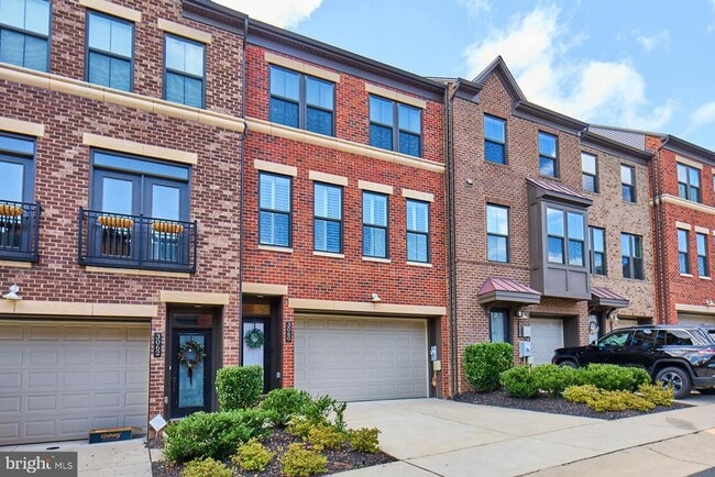 3060 Wild Blue Indigo Ct in Fairfax, VA - Building Photo - Building Photo
