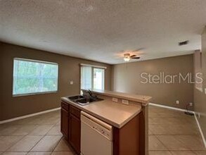 4310 Silver Falls Dr in Land O Lakes, FL - Building Photo - Building Photo