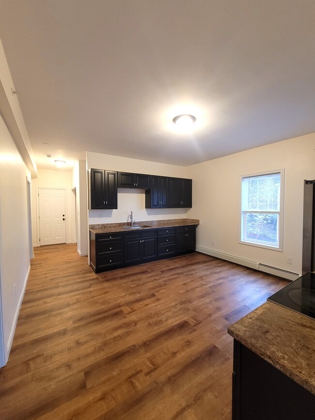 119 Rodney St, Unit 2 in Worcester, MA - Building Photo - Building Photo