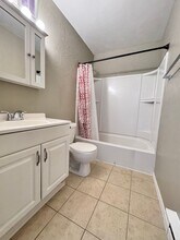 804 Stone Mountain Dr in Windsor, CO - Building Photo - Building Photo