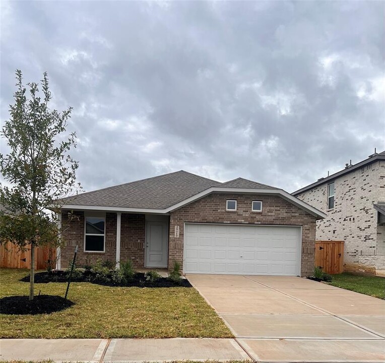 29019 Pearl Barley Wy in Hockley, TX - Building Photo