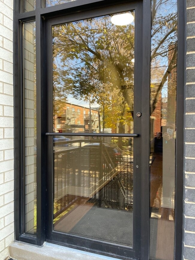 215 S Hamilton Ave in Chicago, IL - Building Photo - Building Photo