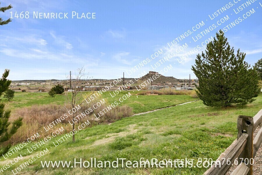 1468 Nemrick Pl in Castle Rock, CO - Building Photo
