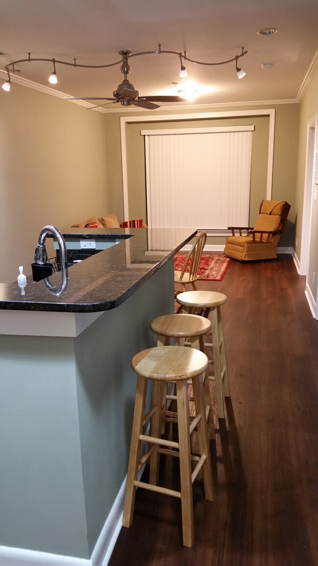 411 W Washington St, Unit #209 in Greensboro, NC - Building Photo - Building Photo