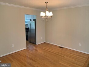 1569 Templeton Pl in Rockville, MD - Building Photo - Building Photo