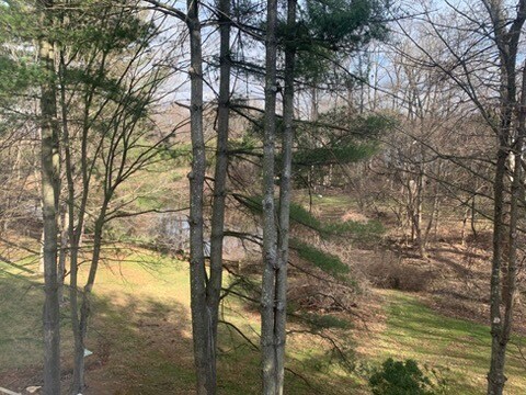 15017 Shamrock Ridge Rd in Silver Spring, MD - Foto de edificio - Building Photo
