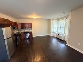 45 S Pine Ave in Albany, NY - Foto de edificio - Building Photo