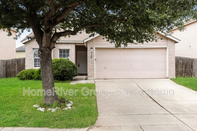 8607 Snow Goose