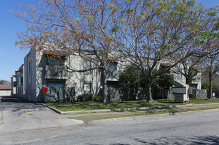 Timber Ridge Apartments in Corpus Christi, TX - Building Photo
