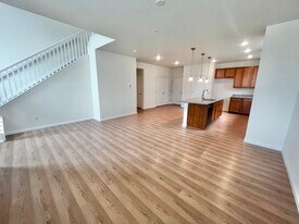 1138 Hornet Dr in Fort Collins, CO - Building Photo