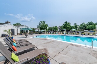 Misty Ridge Apartments in Woodbridge, VA - Building Photo - Building Photo