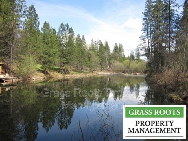 property at 13281 Bitney Springs Rd