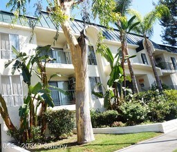 20317 Saticoy St Apartments in Winnetka, CA - Building Photo - Building Photo