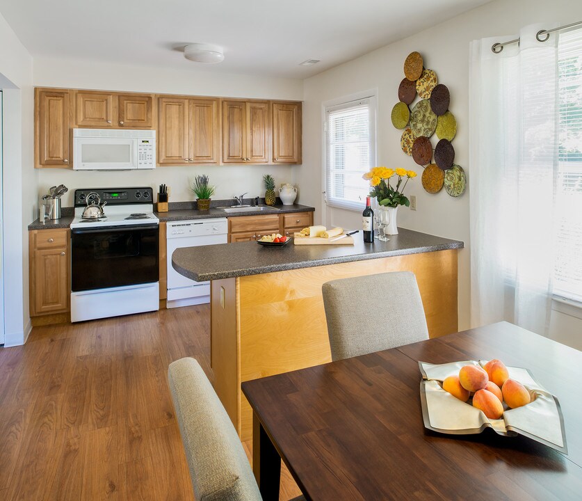 Stony Brook Commons Photo