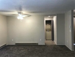 1007 W Depue Ave in Olivia, MN - Building Photo - Building Photo