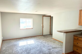 1013 S Sherman Ave-Unit -1013 B in Sioux Falls, SD - Building Photo - Building Photo