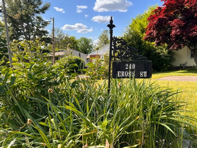 240 Cross St in Middletown, CT - Foto de edificio - Building Photo