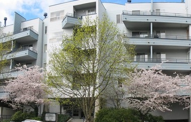 Terrace Villa Apartments in Seattle, WA - Foto de edificio - Building Photo