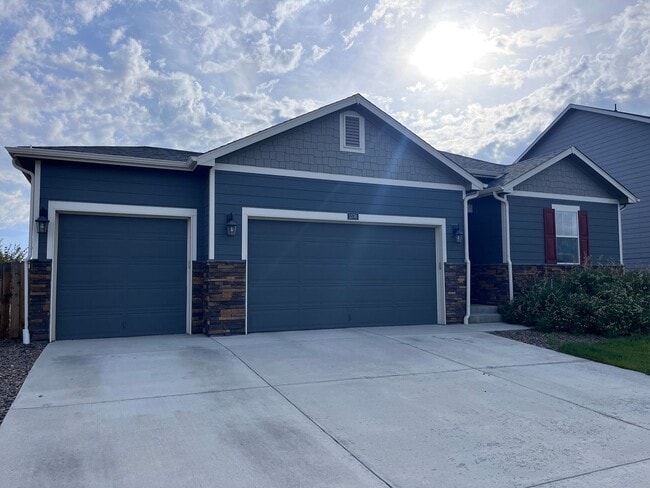1576 Clarendon Dr in Windsor, CO - Building Photo - Building Photo