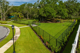 Crestview at Grove West Townhomes in Wesley Chapel, FL - Building Photo - Building Photo