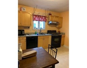 157 Murdock St in Boston, MA - Building Photo - Building Photo