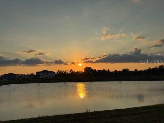 6218 Wandering Willow Dr in Wesley Chapel, FL - Foto de edificio - Building Photo