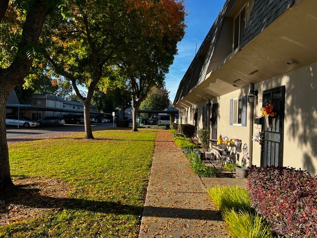 888 Rutledge Dr in Lodi, CA - Foto de edificio - Building Photo