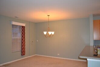 161 Springbrook Trail S in Oswego, IL - Building Photo - Building Photo