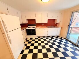 199 Mount Auburn St, Unit 1 in Cambridge, MA - Building Photo