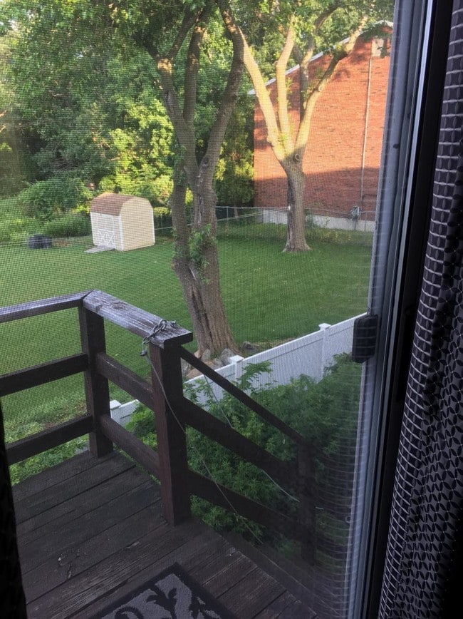 175 W Spring St, Unit 3 in West Haven, CT - Building Photo - Building Photo