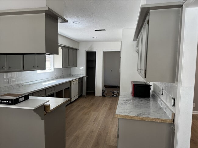 24114 Spring Gum Dr in Spring, TX - Building Photo - Building Photo