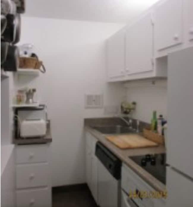 4 Trowbridge Pl in Cambridge, MA - Building Photo - Building Photo