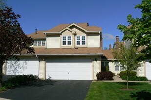 40 Sarahs Grove Ln in Schaumburg, IL - Building Photo