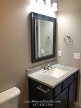 160 Sunrise Cv in Branson, MO - Building Photo - Building Photo
