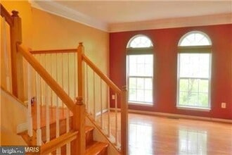 13599 Flying Squirrel Dr in Herndon, VA - Building Photo - Building Photo