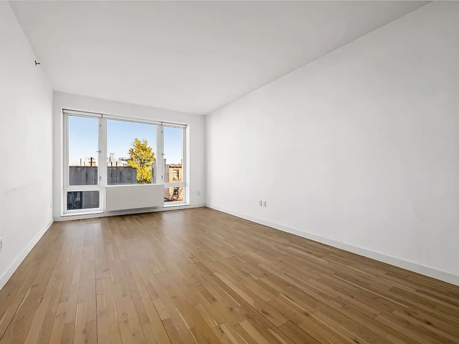 545 Washington Ave in Brooklyn, NY - Building Photo - Building Photo