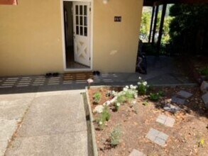 257 Greene St in Mill Valley, CA - Building Photo - Building Photo
