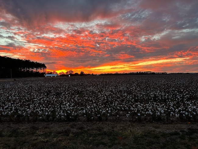 42 Chapman Rd in Atmore, AL - Building Photo - Building Photo
