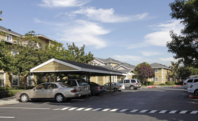 Verandas in San Jose, CA - Building Photo - Building Photo