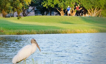 13475 SW 9th St, Unit Kingsley in Pembroke Pines, FL - Building Photo - Building Photo