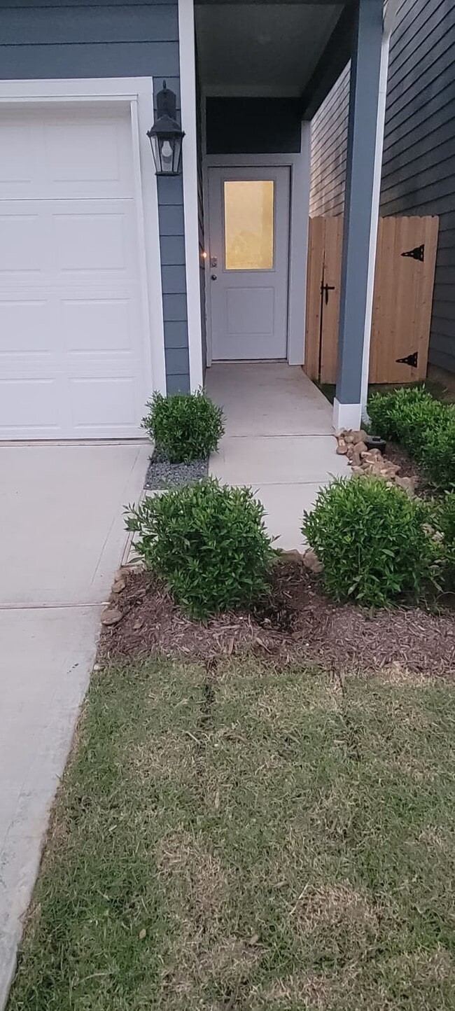 3566 Blue Mockingbird St in Fulshear, TX - Foto de edificio - Building Photo