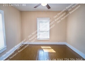 231 Cactus St in San Antonio, TX - Building Photo - Building Photo