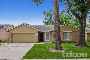 24107 Lone Elm Dr in Spring, TX - Building Photo