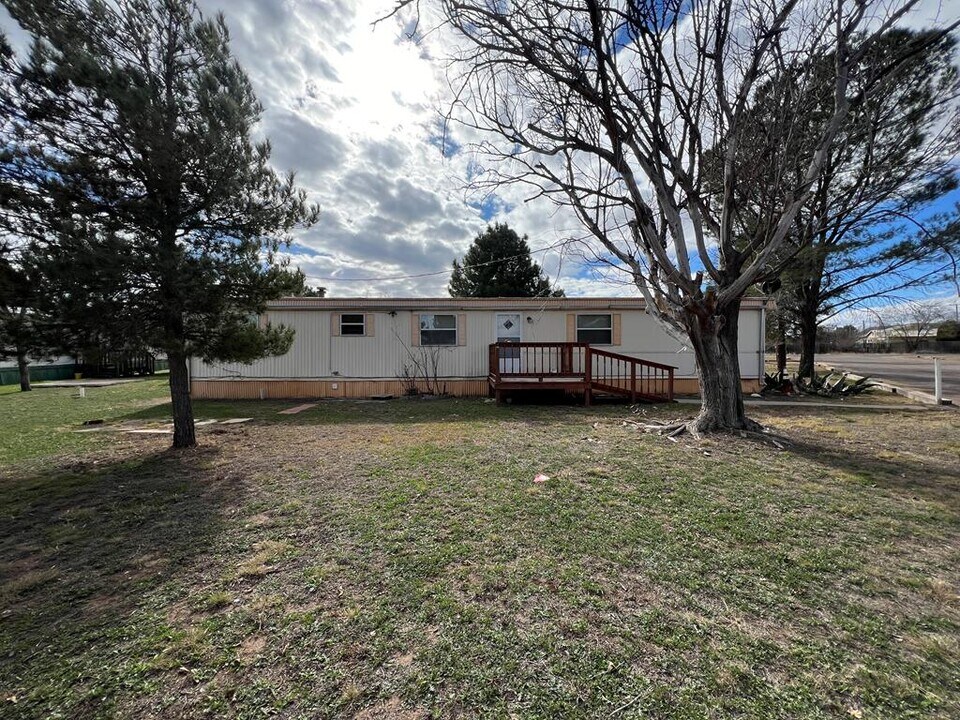 1407 N 10th St in Alpine, TX - Building Photo